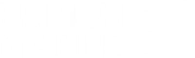 Marine Rigging Services is a partner of British Marine
